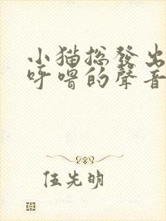 小猫总发出呼噜呼噜的声音怎么回事