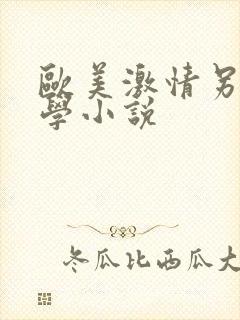 欧美激情另类文学小说