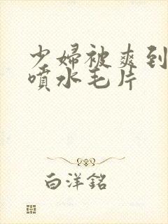 少妇被爽到高潮喷水毛片