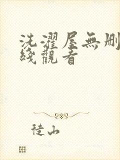 洗濯屋无删减在线观看