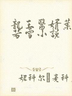 龙王医婿叶凡唐若雪小说