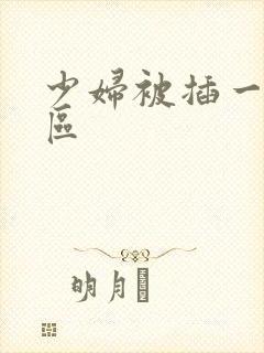 少妇被插一区二区