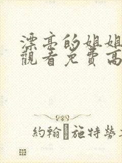 漂亮的姐姐在线观看免费高清电视剧封面