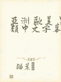 亚洲 欧美 另类中文字幕