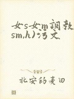 女s女m调教(sm,h)污文封面
