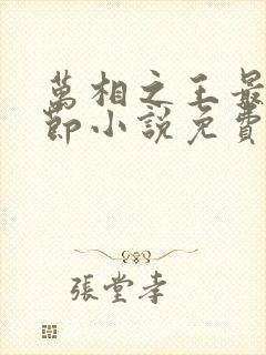 万相之王最新章节小说免费阅读