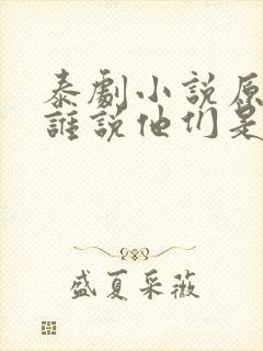 泰剧小说原著《谁说他们是宿敌》