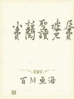 小说圣墟辰东免费阅读免费