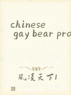 chinese gay bear pron