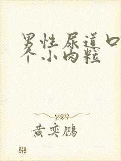 男性尿道口上长个小肉粒封面