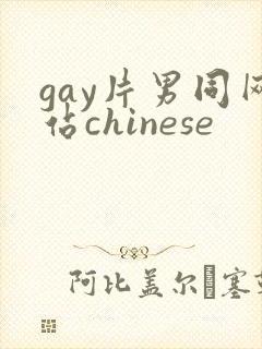 gay片男同网站chinese封面
