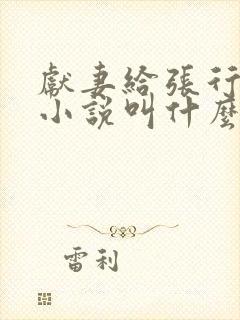 献妻给张行原著小说叫什么名字