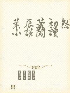 叶辰萧初然免费小说阅读
