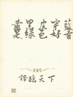 黄黑皮穿蓝色还是绿色好看