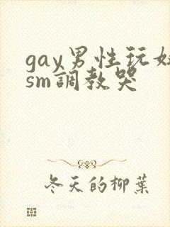 gay男性玩奴sm调教哭封面