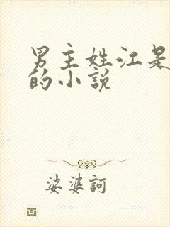 男主姓江是军人的小说