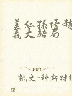 美红孙倩赵敏高义大结局