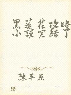 黑莲花攻略手册小说完结了吗