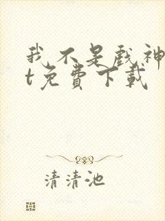 我不是戏神txt免费下载