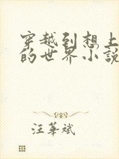 穿越到想上就上的世界小说