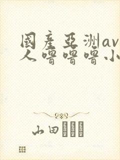 国产亚洲av成人噜噜噜小说