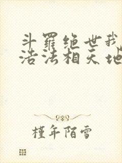 斗罗绝世我霍雨浩法相天地笔趣阁