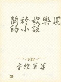 关于娱乐圈好看的小说