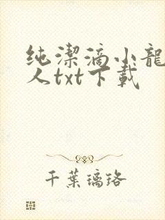 纯洁滴小龙捞尸人txt下载封面