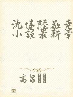 沈倦陆敬尧黎初小说最新章节更新时