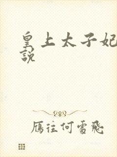 皇上太子妃h小说