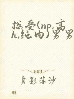 总受(np,高h,纯肉)男男文封面
