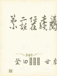 第二任老婆小音小说在线阅读