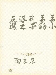 反派我弟弟是天选之子的小说