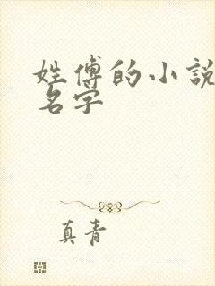 姓傅的小说女主名字