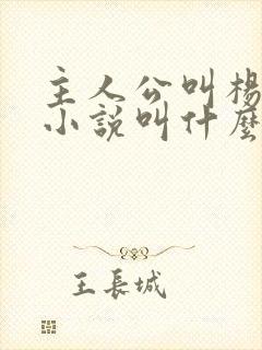 主人公叫杨洛的小说叫什么名字