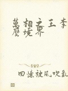 万相之王李洛什么境界