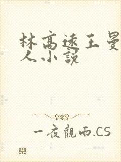 林高远王曼昱同人小说封面