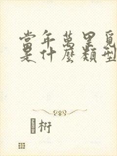 当年万里觅封侯是什么类型的小说