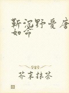 靳沉野爱唐栖雾如命