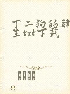 丁二狗的肆意人生txt下载