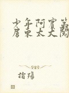 少年阿宾第一章房东太大阅读