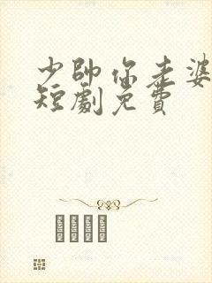 少帅你老婆又跑短剧免费