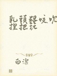 乳头啃咬吮吸揉捏把玩