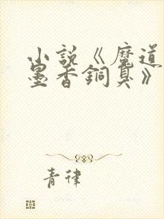 小说《魔道祖师墨香铜臭》封面