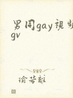 男同gay视频gv