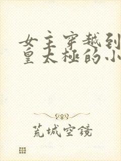 女主穿越到清初皇太极的小说