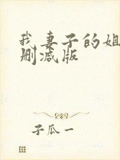 我妻子的姐姐未删减版封面
