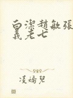 白洁赵敏张倩高义老七