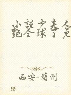 小说少夫人她惊艳全球了免费看