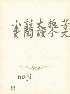 小说大魏芳华免费阅读全文